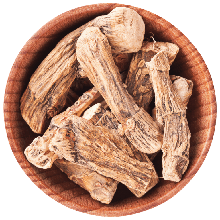 Calamus Root Top Health Benefits [2022 Research]