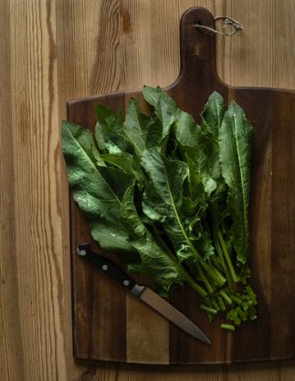 Health Benefits of Yellow Dock Root - Leaves on cutting board