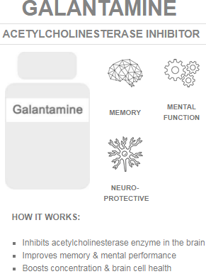 galantamine nootropic benefits